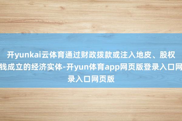 开yunkai云体育通过财政拨款或注入地皮、股权等金钱成立的经济实体-开yun体育app网页版登录入口网页版